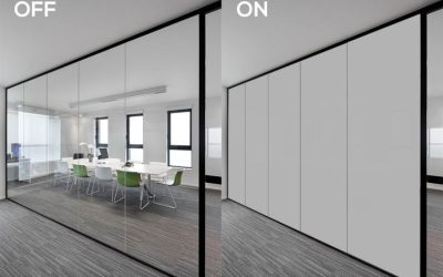 MICA INTELIGENTE VERACRUZ